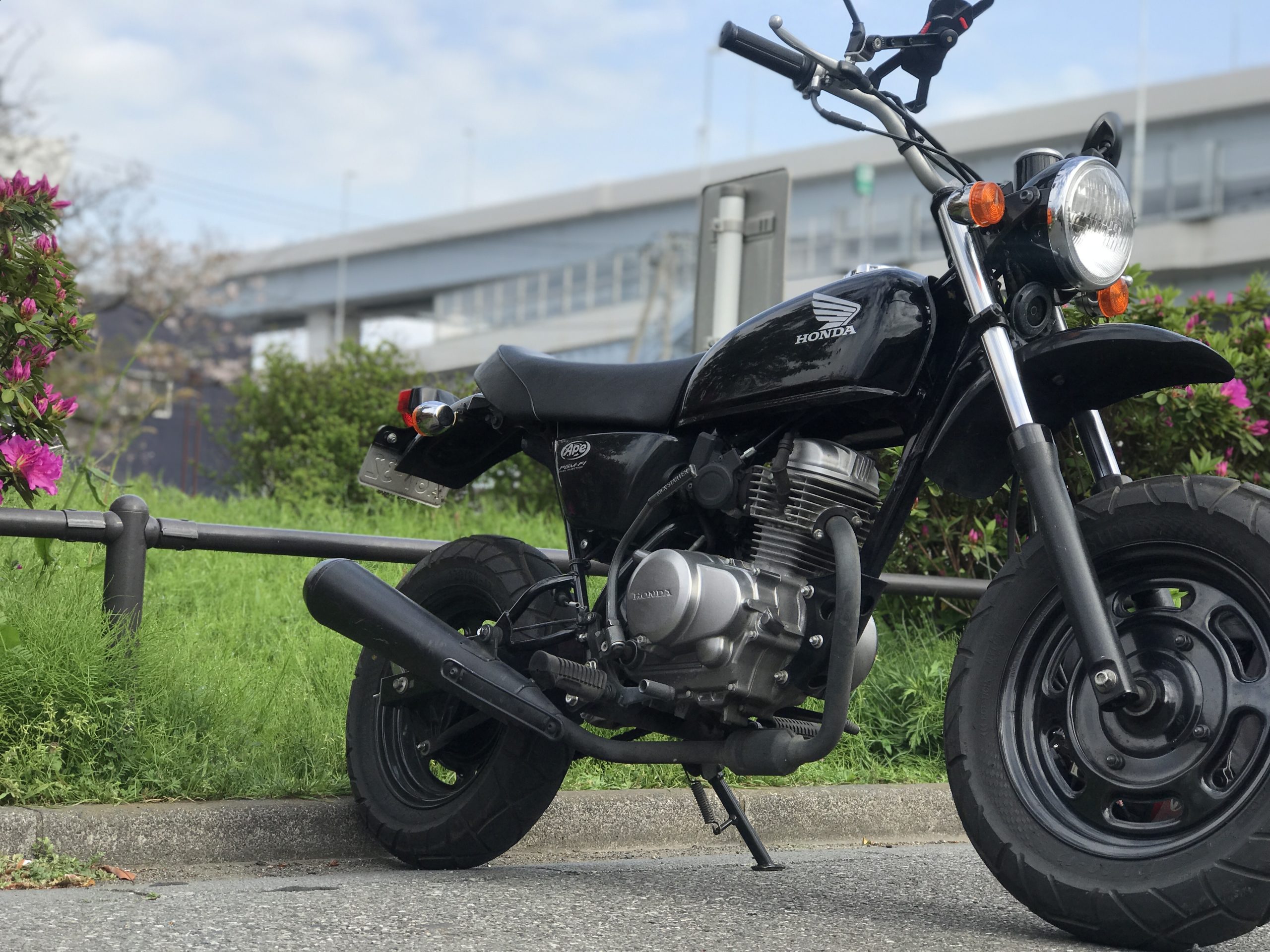 贅沢 HONDA エイプ50 ホンダ - gastrolife.net