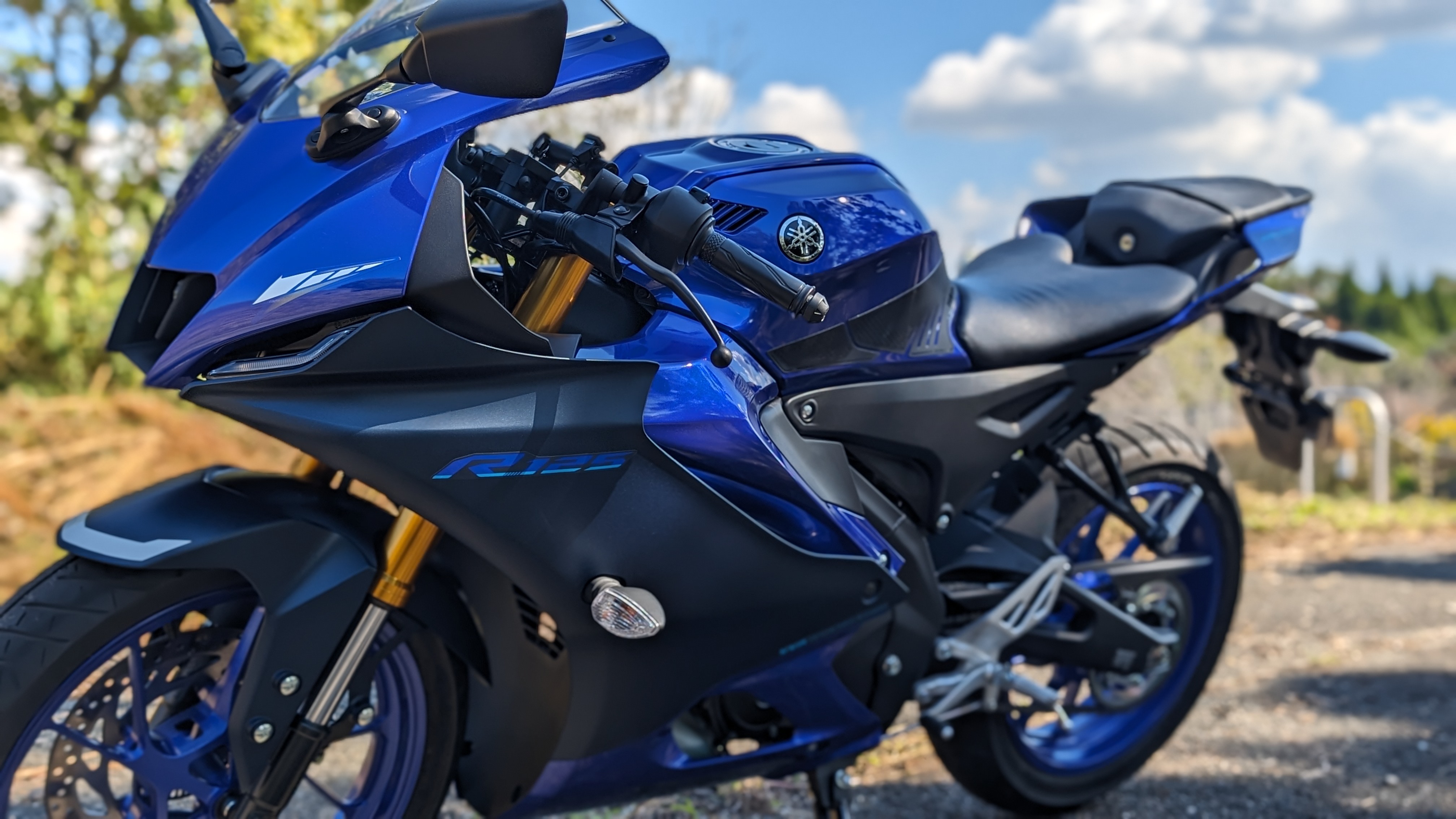 2023_bluefairing_001