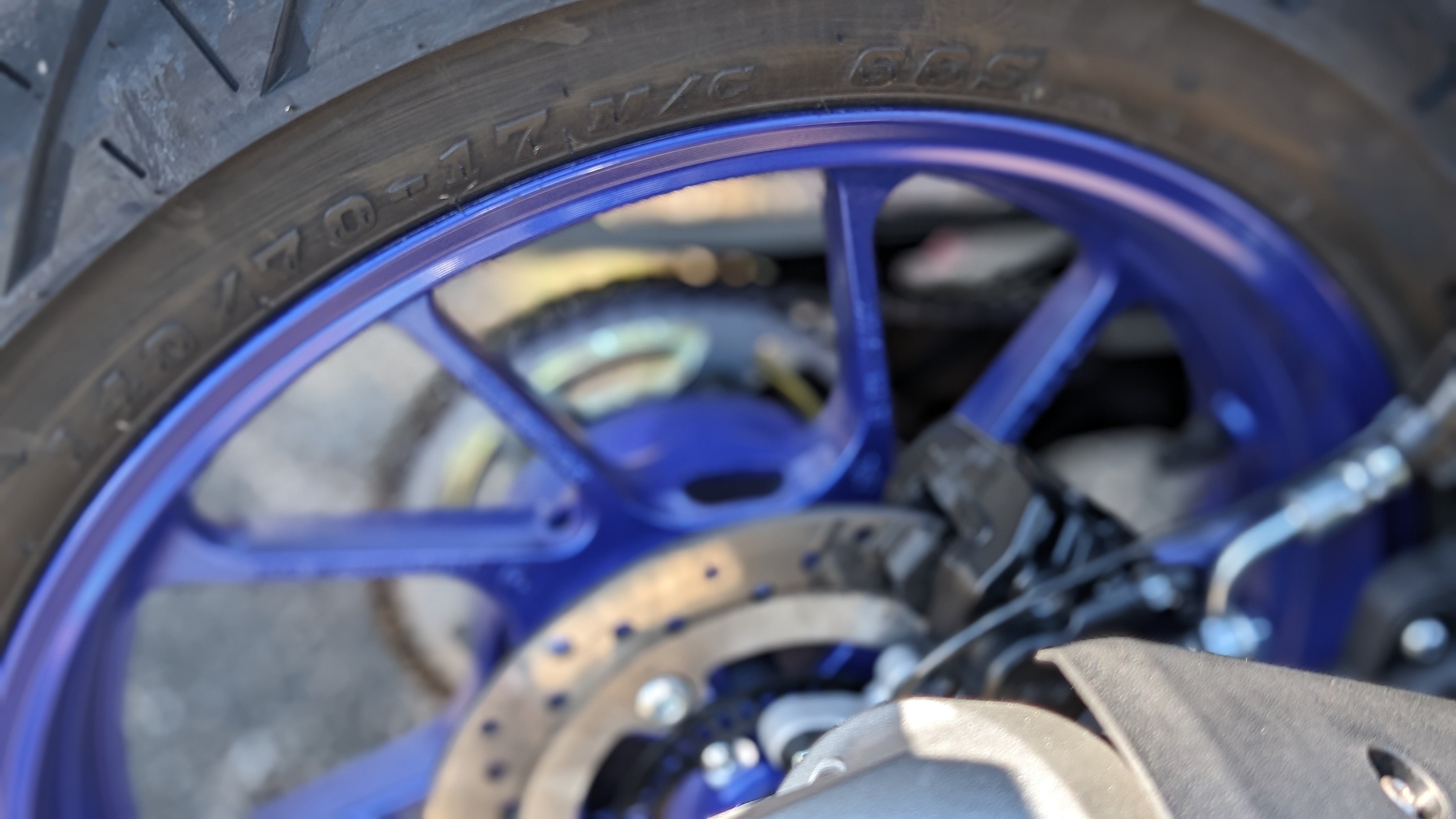 2023_bluewheel_004