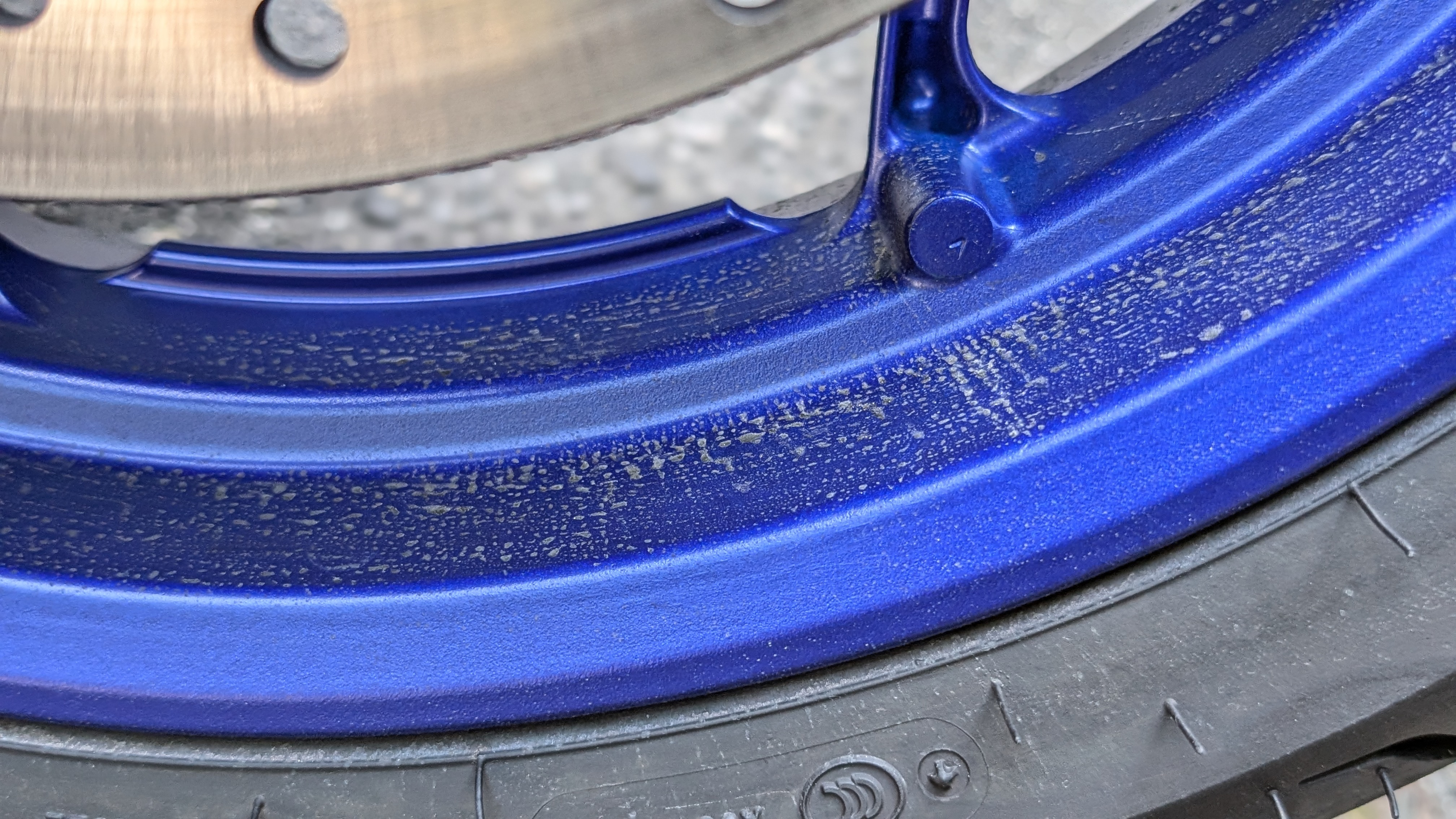 2024_bluewheel_002