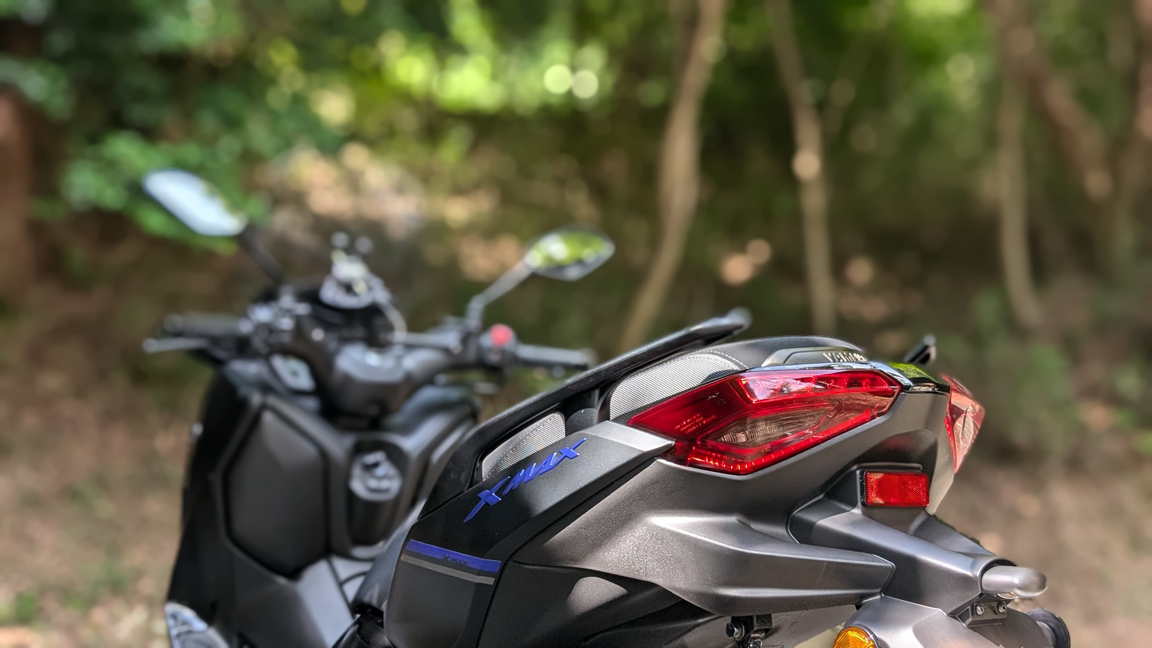 2024_reartailight_001