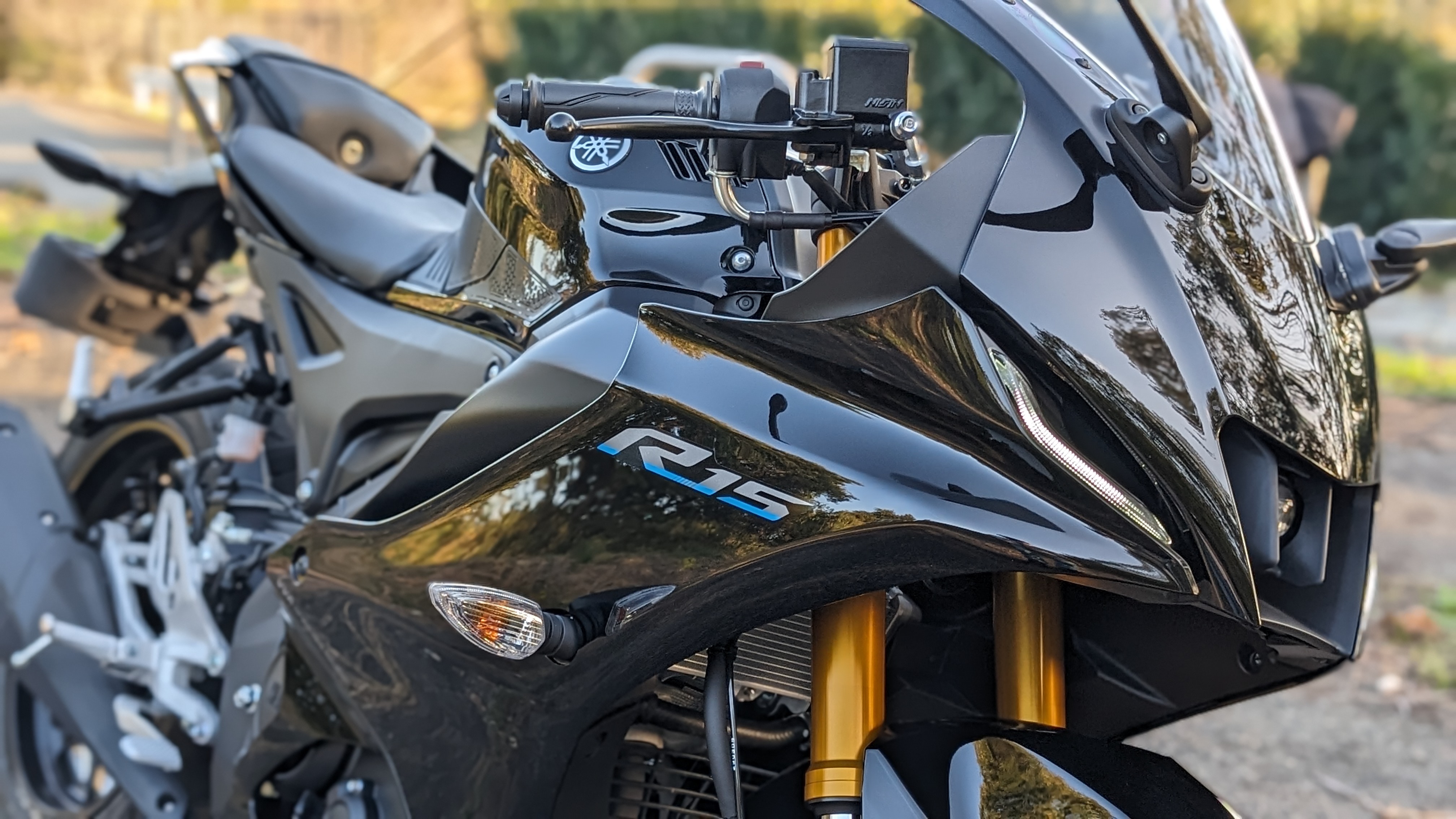 yzf-r15_PXL_20231109_070014352.PORTRAIT