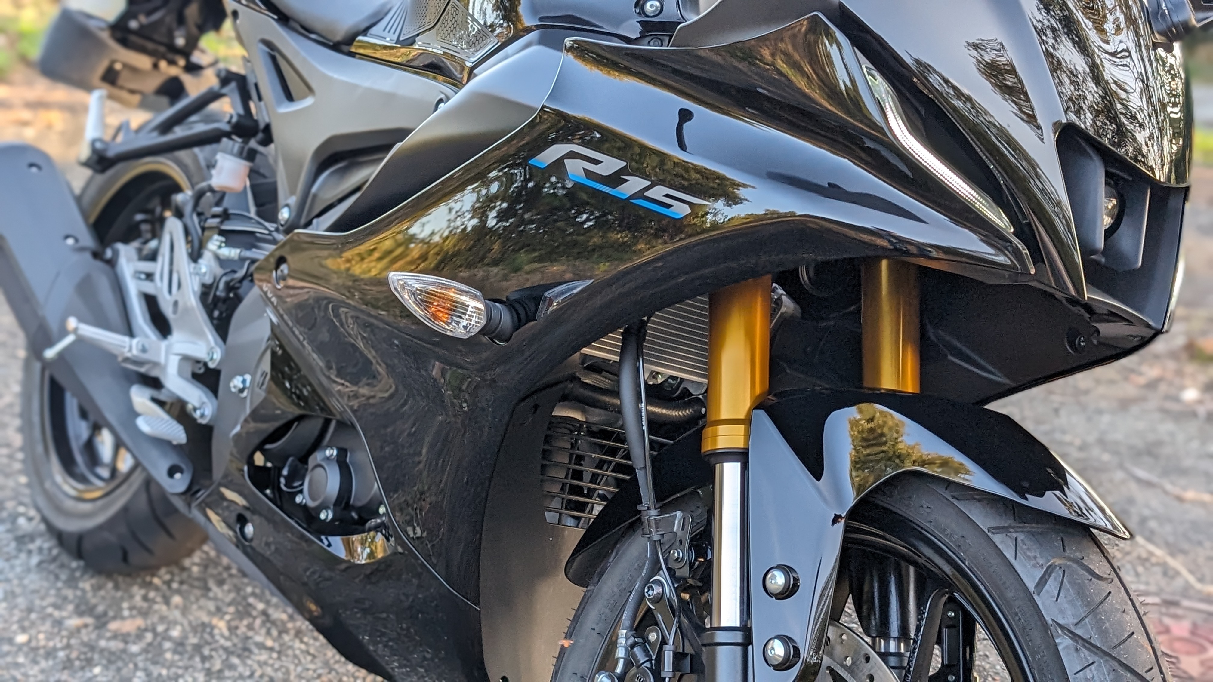 yzf-r15_PXL_20231109_070015316.PORTRAIT