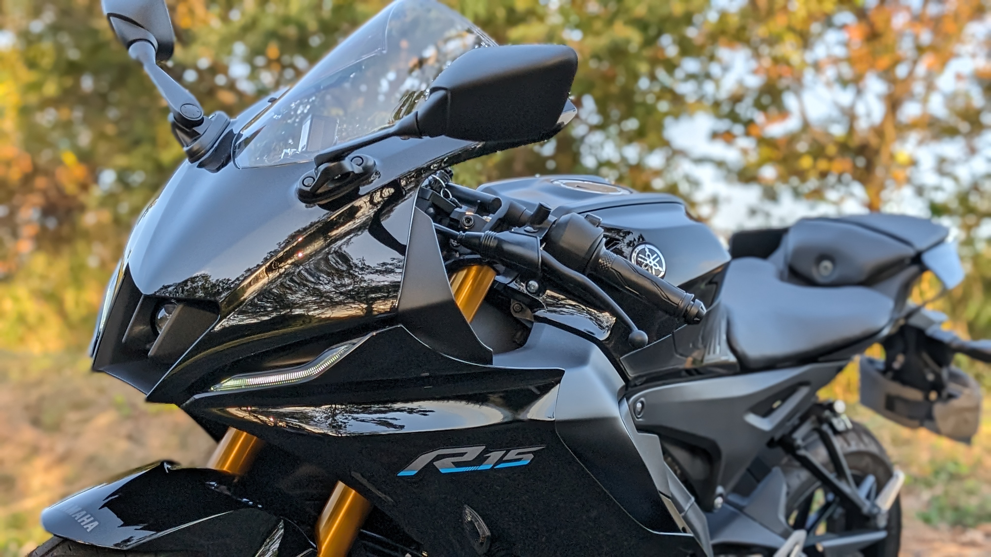 yzf-r15_PXL_20231109_070023300.PORTRAIT